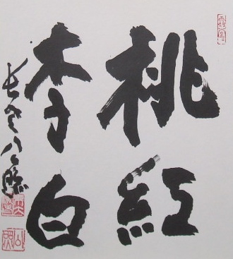 f:id:koshozouzou:20140414234851j:image