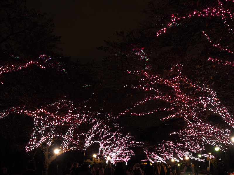 f:id:kosigan:20161104190118j:plain f:id:kosigan:20161104190118j:plain