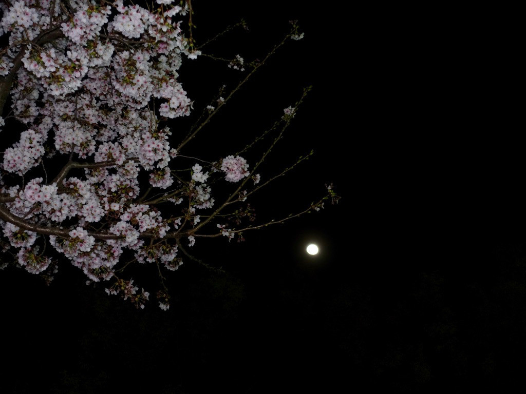 f:id:kosigan:20180328174220j:plain