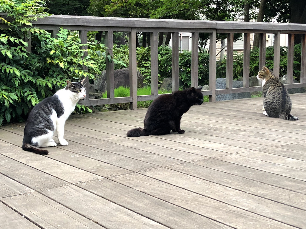 f:id:kosigan:20190721175409j:plain