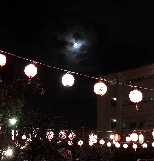 f:id:kosigan:20190914212157p:plain