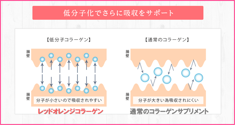 レッドオレンジコラーゲンの低分子抽出のイメージ画像
