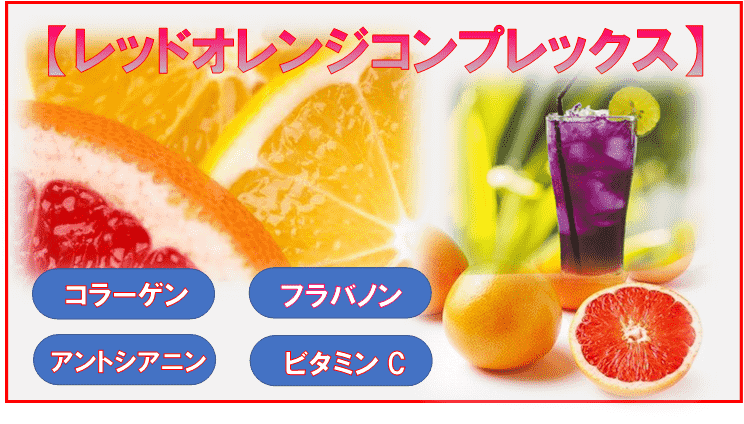 レッドオレンジ果実と成分の表示