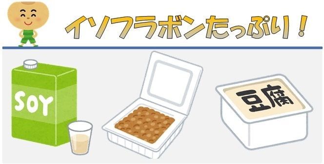 豆乳と納豆と豆腐のイラスト