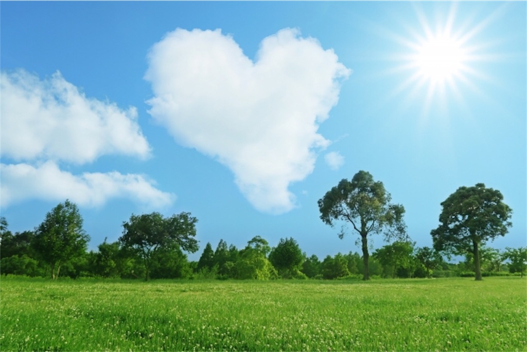 f:id:kosodate_affiliate:20191019183459j:image