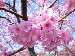 f:id:kosodate_chintai:20180302164342j:plain f:id:kosodate_chintai:20180302164342j:plain