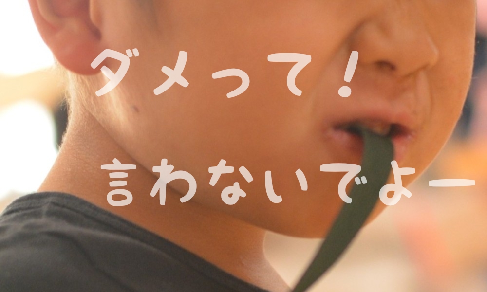 f:id:kosodate_toshiyuki:20190217013015j:plain