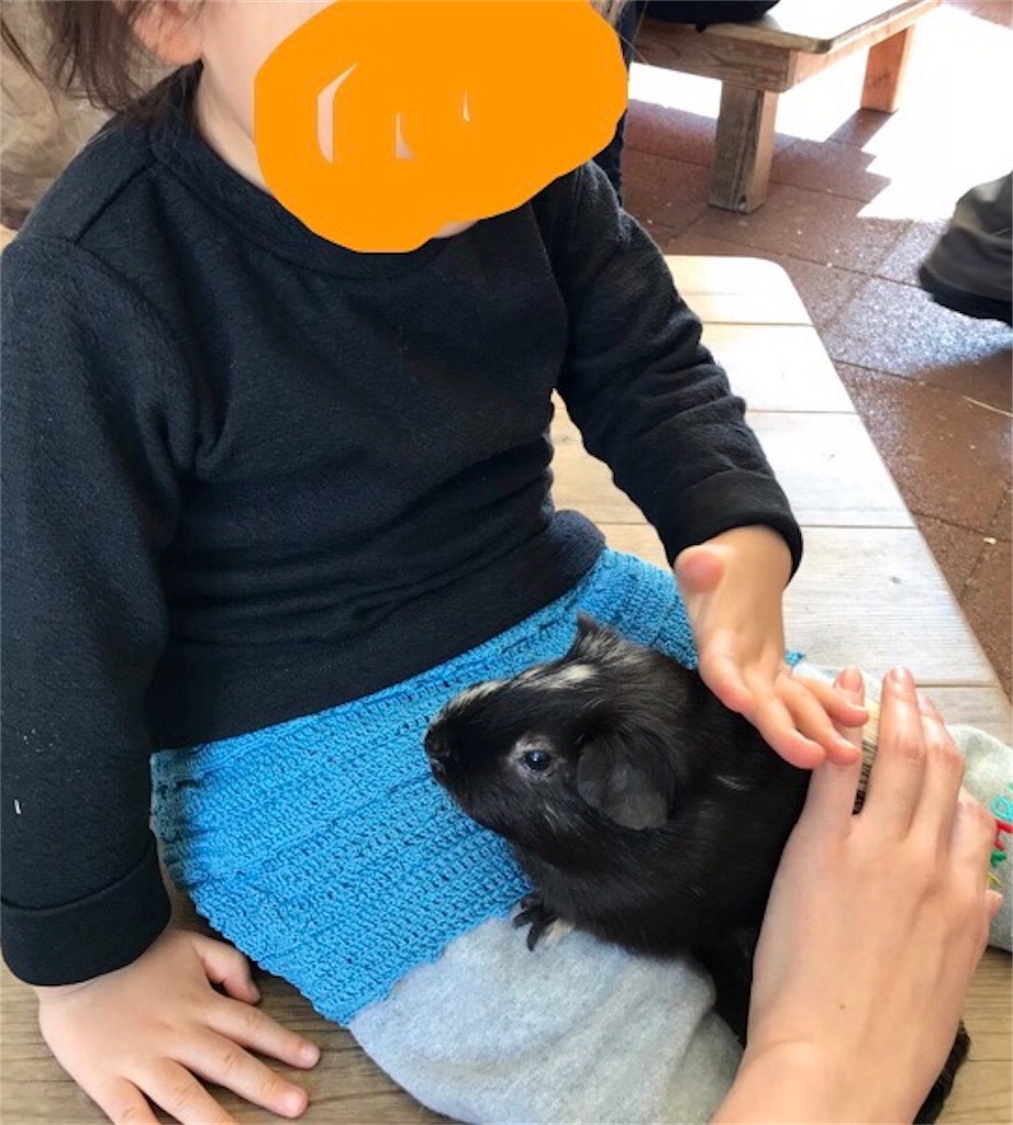 f:id:kosodatefun:20171119231023j:image f:id:kosodatefun:20171119231023j:image