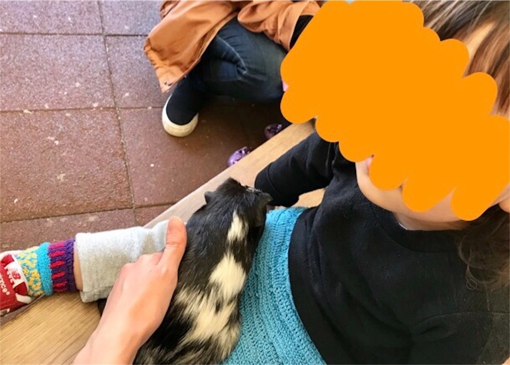 f:id:kosodatefun:20171120120048j:image f:id:kosodatefun:20171120120048j:image