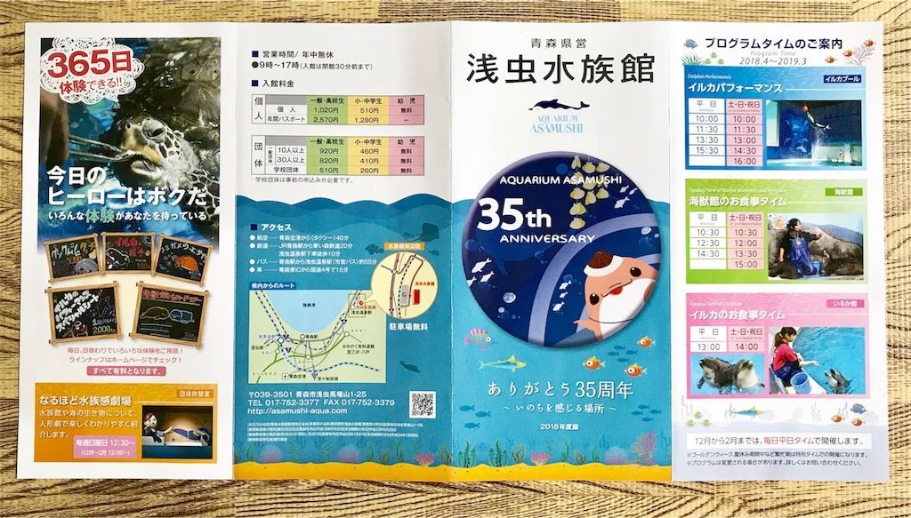 イルカが近い 浅虫水族館のイルカショーや姉家族との思い出 子連れ家族旅行記 In青森 ゆっくり歩いていこう