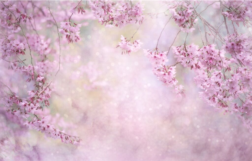 f:id:kosodatefun:20250313232001j:image