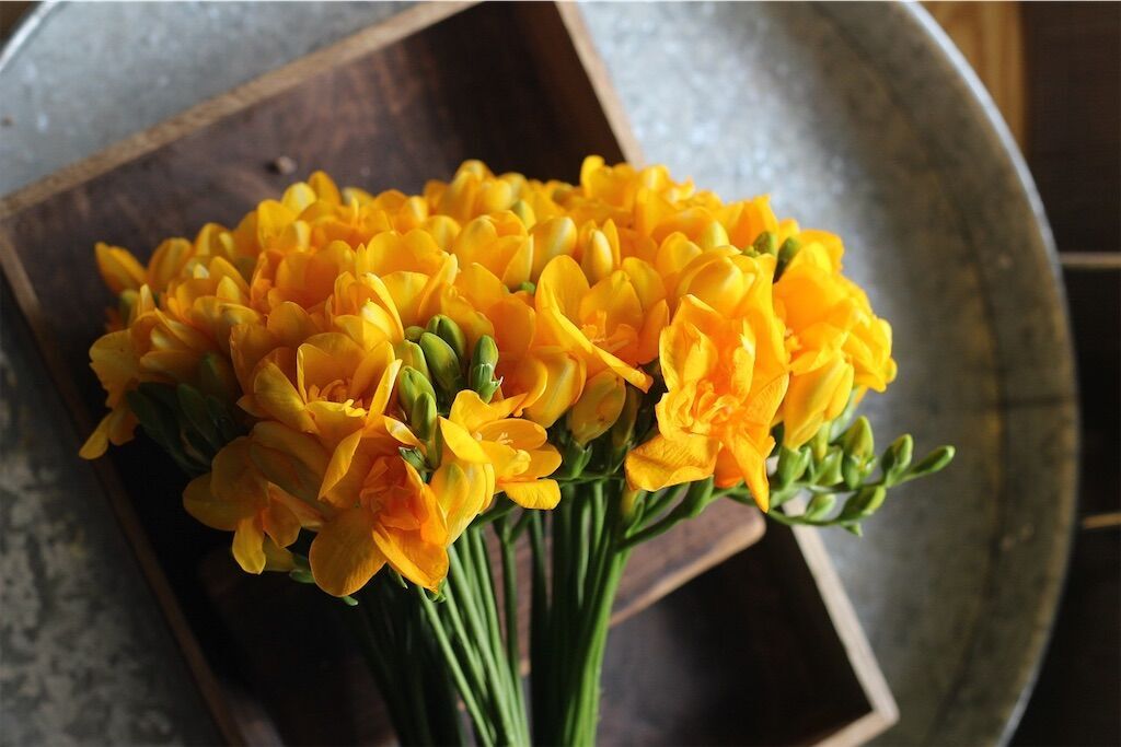 f:id:kosodatefun:20250313232447j:image