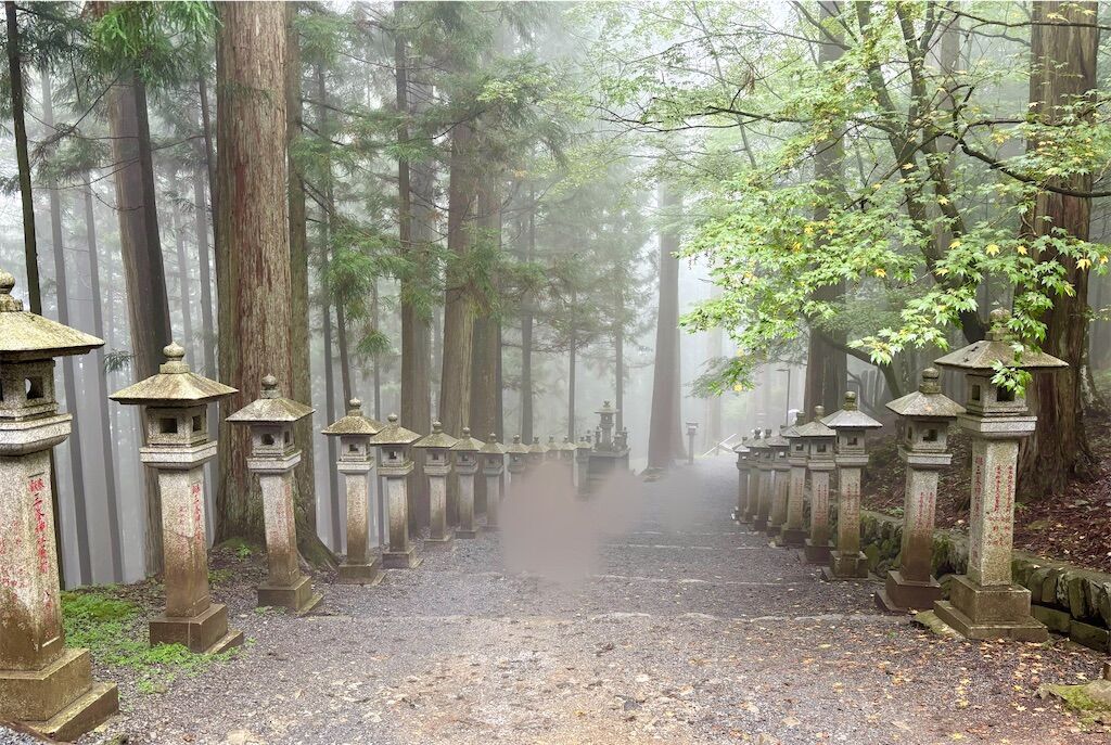 f:id:kosodatefun:20250921144859j:image