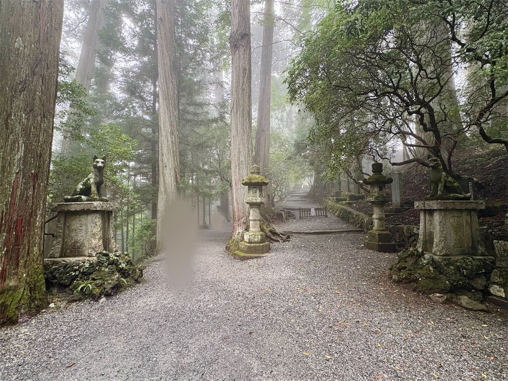 f:id:kosodatefun:20250924130327j:image