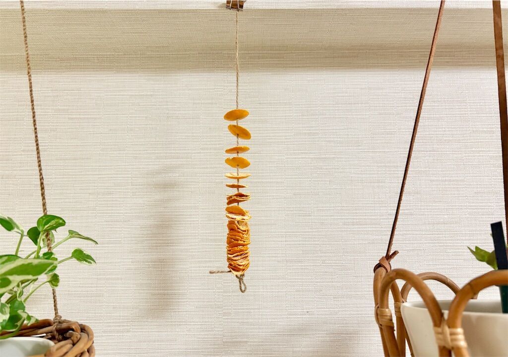 f:id:kosodatefun:20251217223128j:image