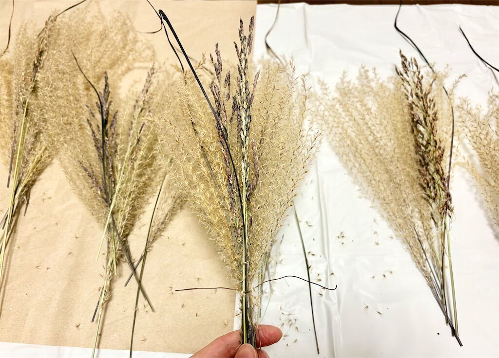 f:id:kosodatefun:20251217223531j:image