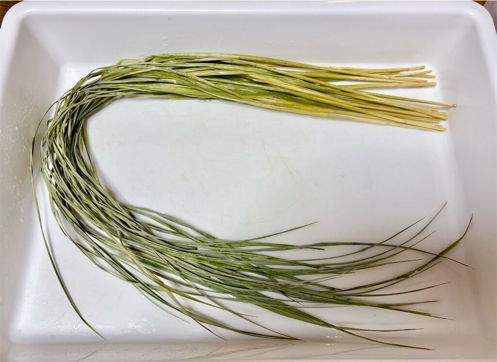 f:id:kosodatefun:20260113083033j:image