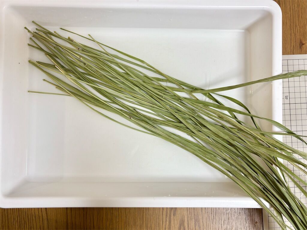 f:id:kosodatefun:20260113083044j:image