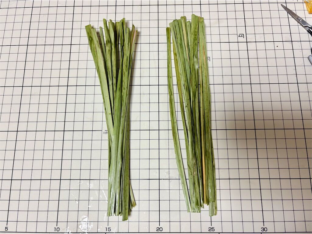 f:id:kosodatefun:20260113083110j:image