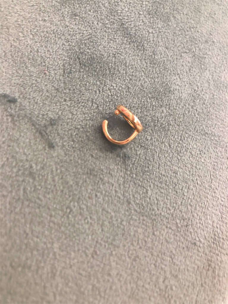 f:id:kosodateinfo:20260129131937j:image