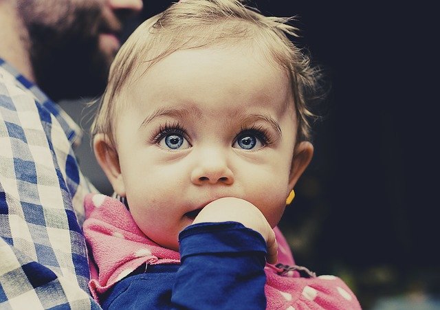 f:id:kosodatelifestyle:20201203121643j:plain
