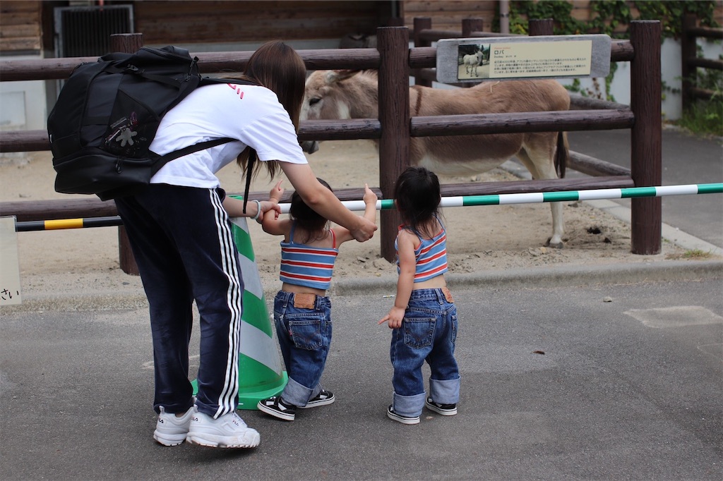 f:id:kosodatepapan:20201005223853j:image f:id:kosodatepapan:20201005223853j:image