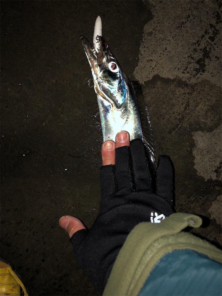 f:id:kosox:20191224154913j:image