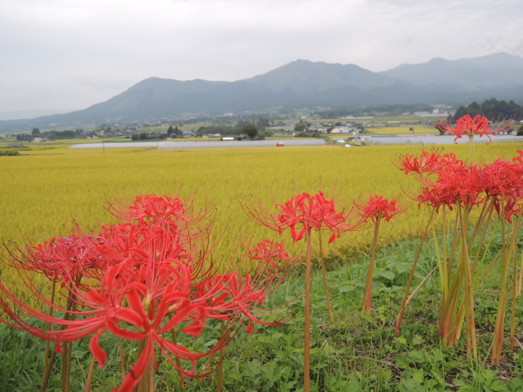 f:id:kosui278:20170924233119j:plain f:id:kosui278:20170924233119j:plain