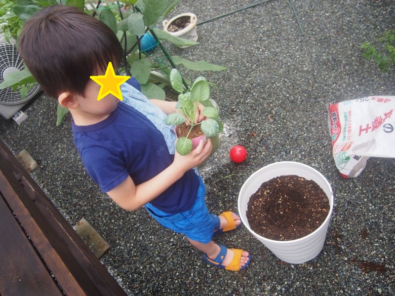 f:id:kosuke0617:20160918161837j:plain f:id:kosuke0617:20160918161837j:plain
