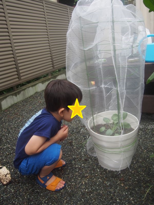 f:id:kosuke0617:20160918163103j:plain f:id:kosuke0617:20160918163103j:plain