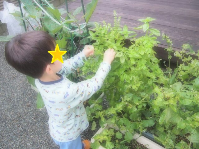 f:id:kosuke0617:20160924205703j:image f:id:kosuke0617:20160924205703j:image