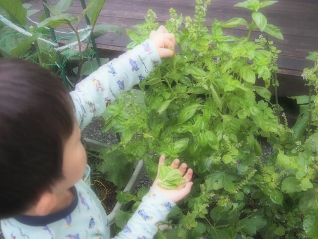 f:id:kosuke0617:20160924205742j:image f:id:kosuke0617:20160924205742j:image