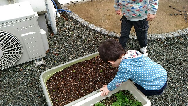 f:id:kosuke0617:20170409201231j:image
