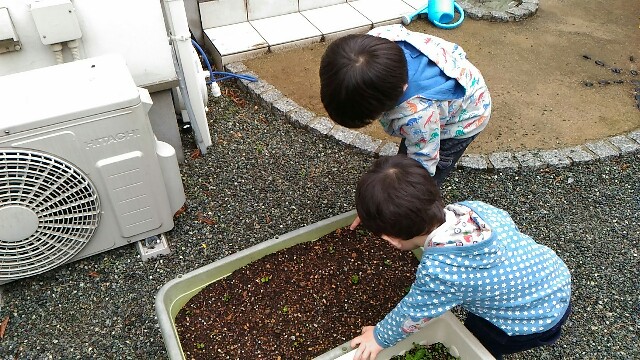 f:id:kosuke0617:20170409201534j:image