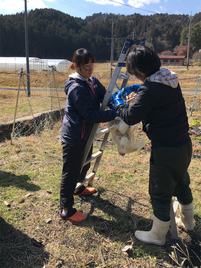 f:id:kosuke19880801:20190224084157j:image