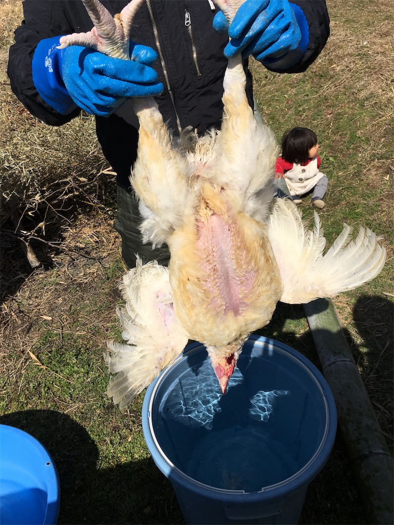 f:id:kosuke19880801:20190224084222j:image
