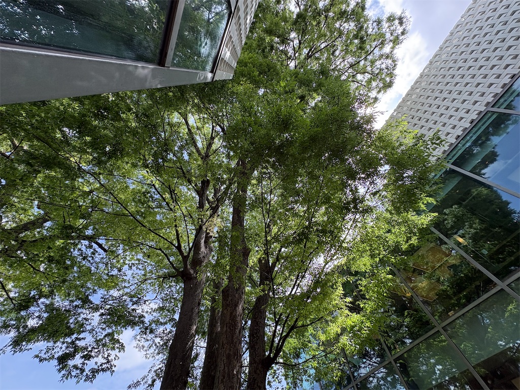 f:id:kosuke19880801:20260422174751j:image