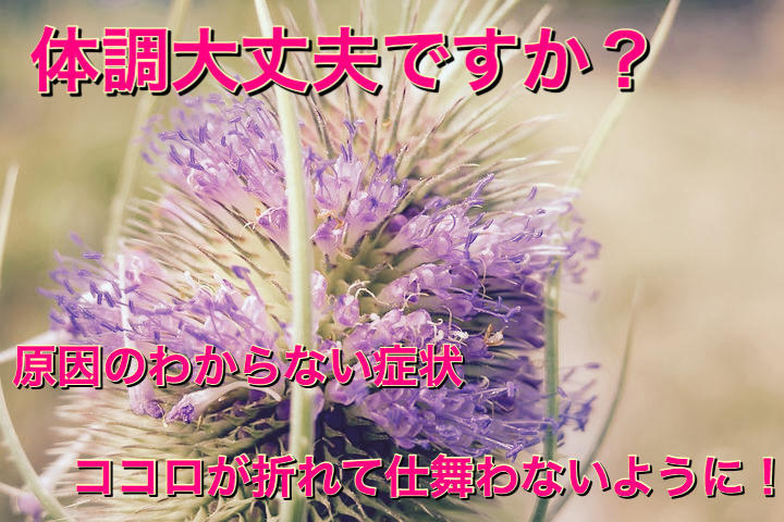 f:id:kosumosu7kun:20190927210701j:plain