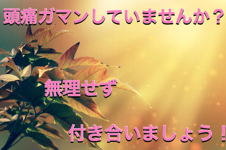 f:id:kosumosu7kun:20191016202553j:plain