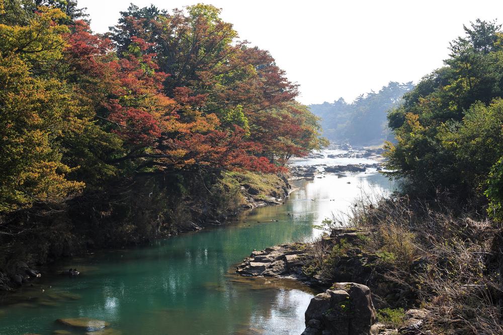 f:id:kota04:20151103221445j:plain f:id:kota04:20151103221445j:plain