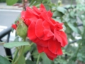 20110831160600