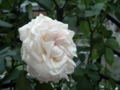 20110831160615