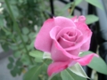 20110831162023