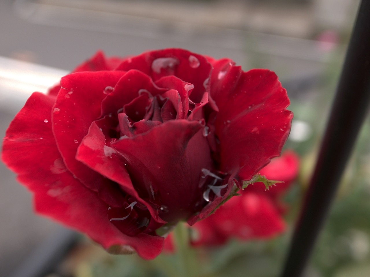 f:id:kota2009:20110901085930j:image:w240