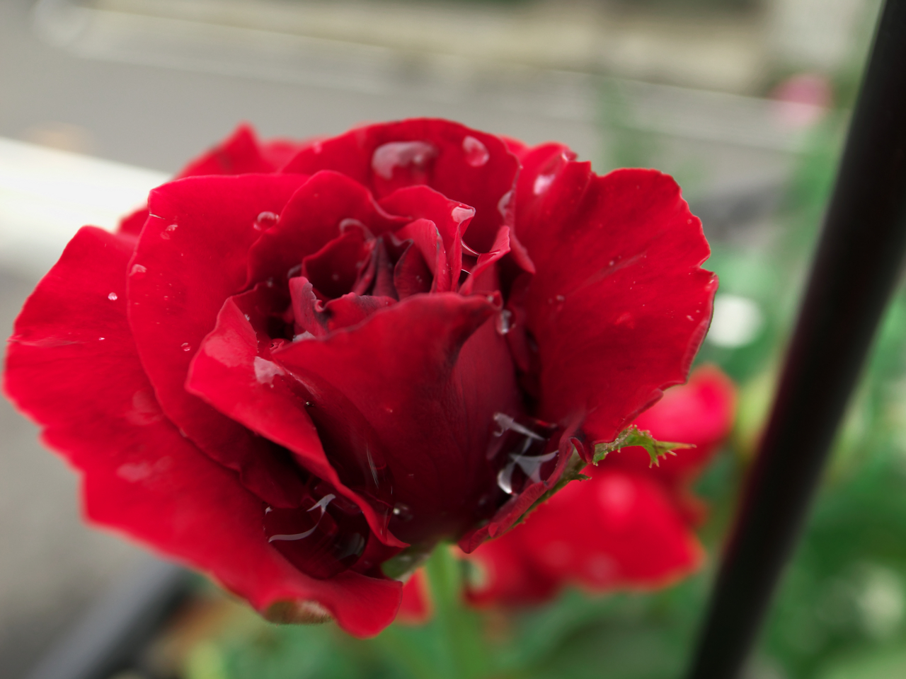 f:id:kota2009:20110902085930j:image:w240