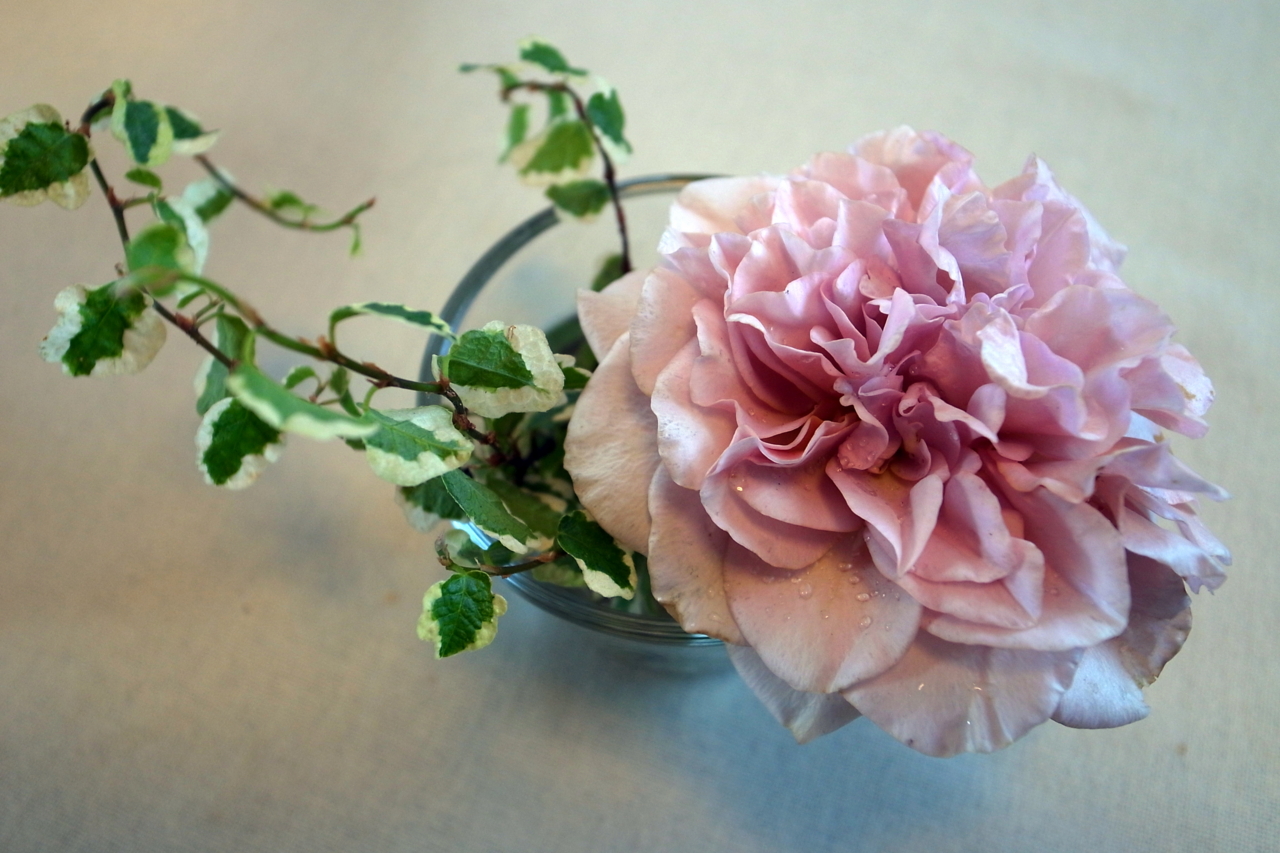 f:id:kota2009:20111007072545j:image:w360