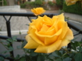 20111025065906