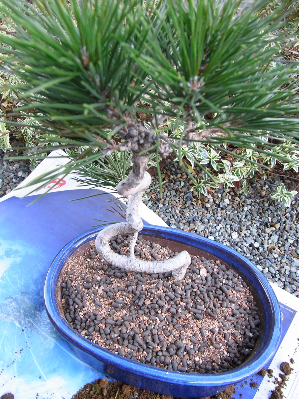 f:id:kota2009:20120104104205j:image:w360
