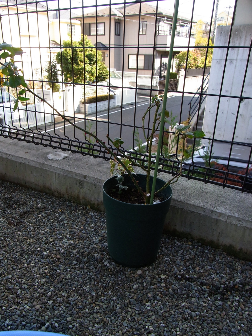 f:id:kota2009:20120104105421j:image:w360