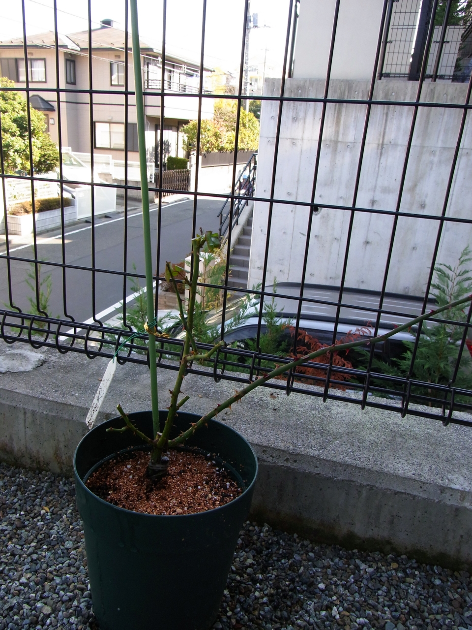 f:id:kota2009:20120104110306j:image:w360